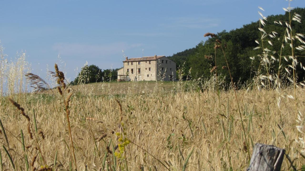 Casale Le Fontanelle Hotel Monte Grimano Terme Ngoại thất bức ảnh