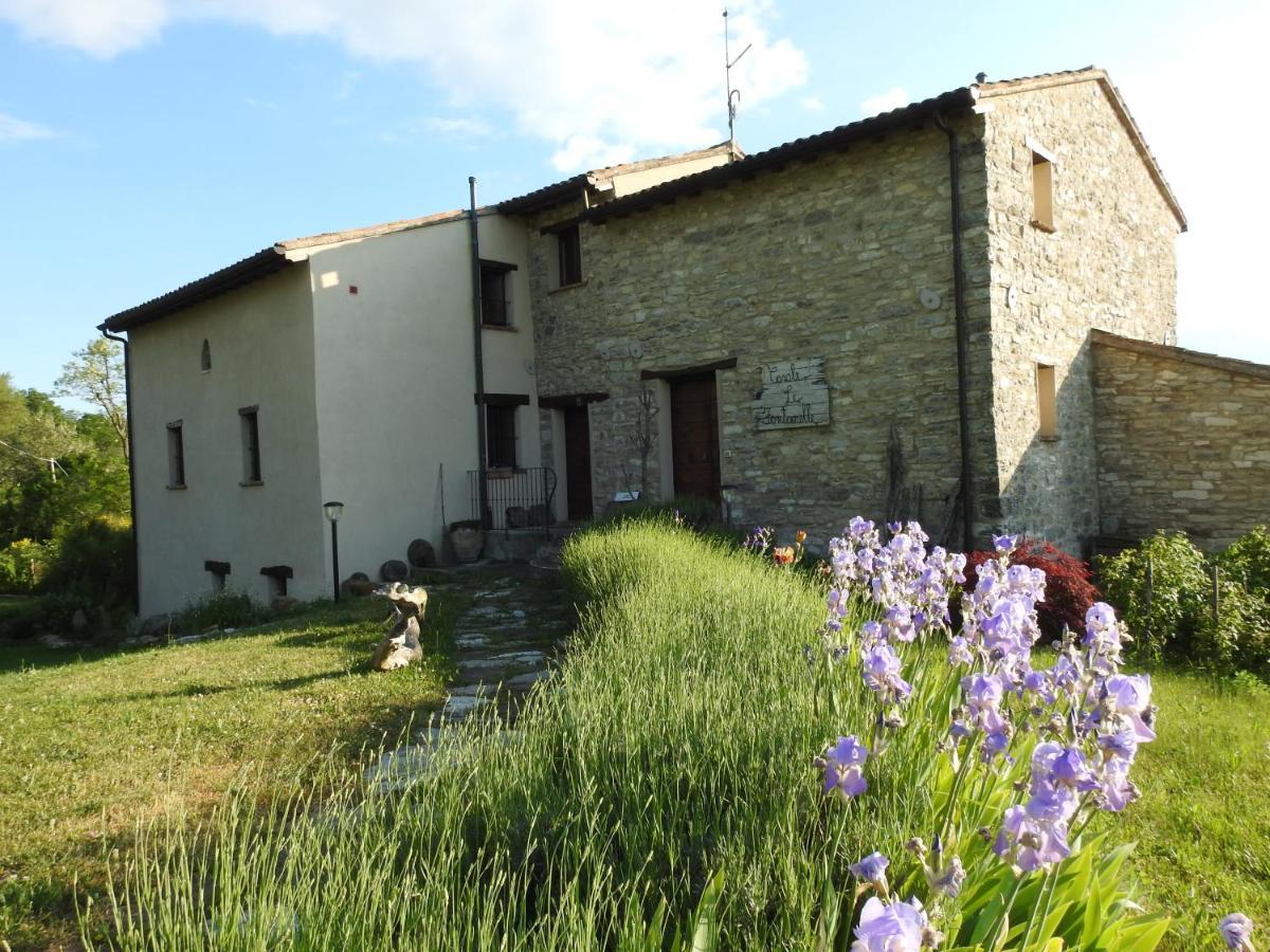 Casale Le Fontanelle Hotel Monte Grimano Terme Ngoại thất bức ảnh